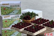 兼祧之妻高速赋能产业升级：一条“杨梅路”的致富密码