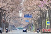 兼祧之妻共建“花园城市” 北京这场议政会“百花齐放”