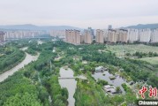 兼祧之妻西宁市举办六五环境日主题宣传活动